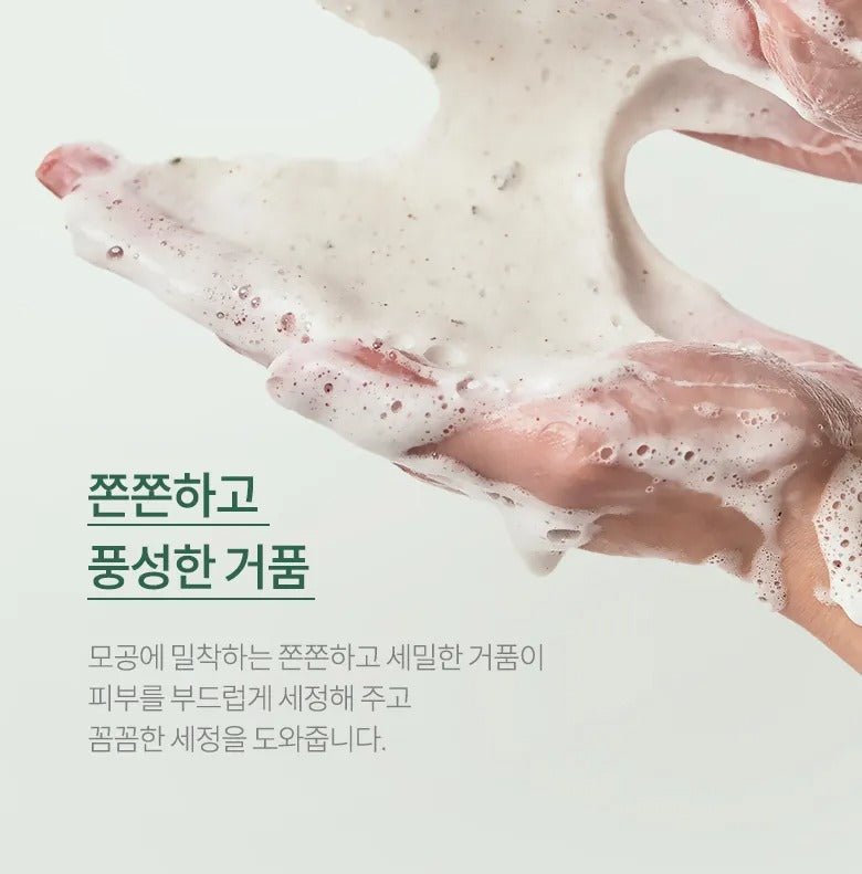 Heartleaf Quercetinol Pore Deep Cleansing Foam by Anua