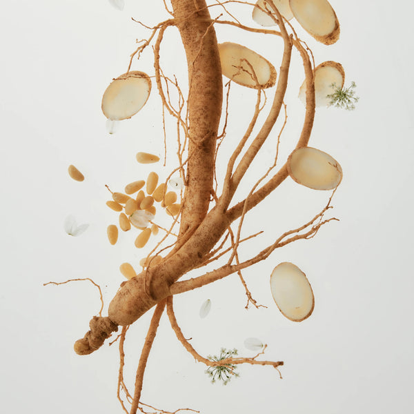 Revive Eye Serum : Ginseng + Retinal by Beauty of Joseon