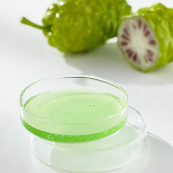 The Real Noni Energy Ampoule by Celimax