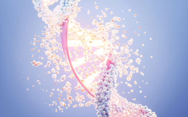 Peptology Boosting Ampoule Niacinamide Vita+ by DERMAFIRM