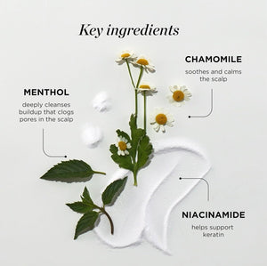 Scalp Relief Tonic by Dr. Groot