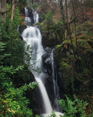 Green Irish Tweed 3.4edp by Creed