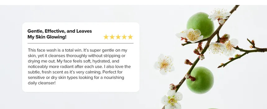 Green Plum Refreshing Cleanser by BEAUTY OF JOSEON