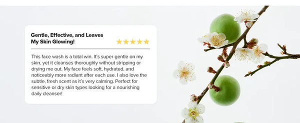 Green Plum Refreshing Cleanser by BEAUTY OF JOSEON