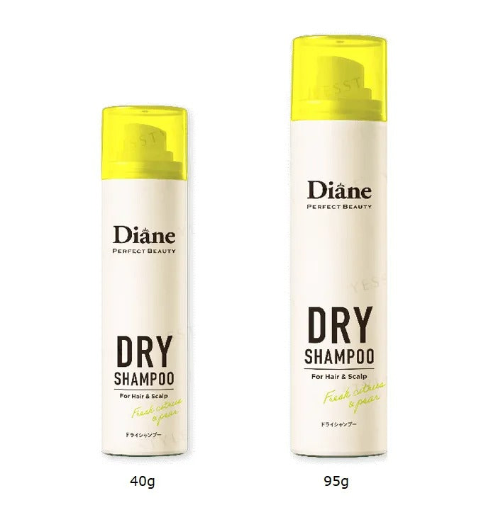 Diane Perfect Beauty Dry Shampoo by NATURELAG