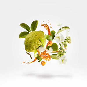 Naxos 3,4edp by Xerjoff