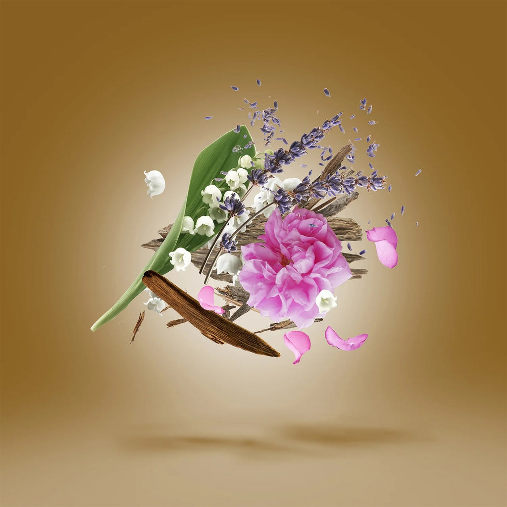 Alexandria II 3.4edp by Xerjoff