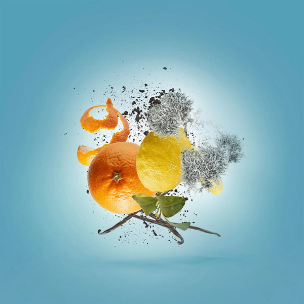 Erba Pura 3.4edp by Xerjoof