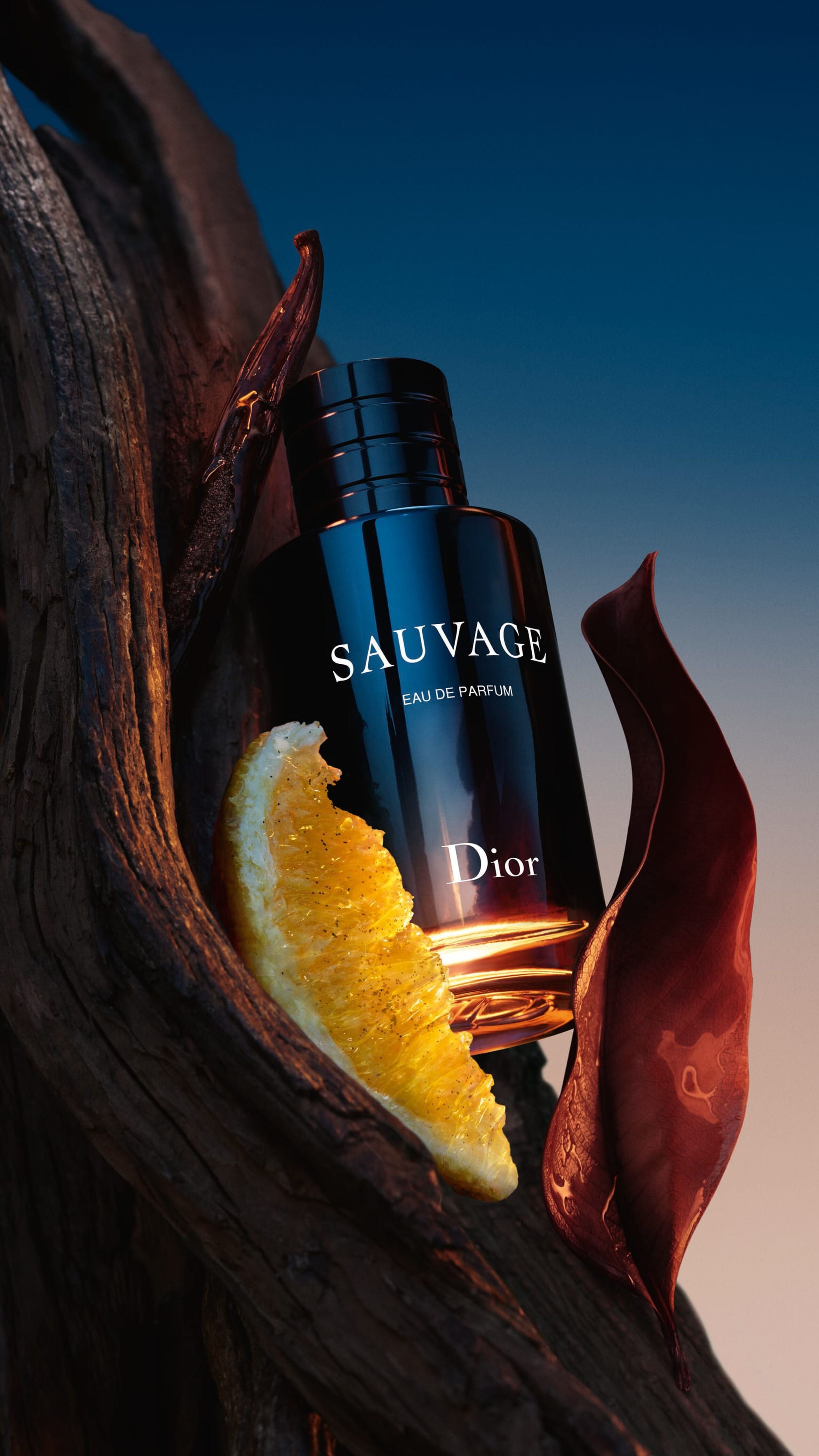 Dior Sauvage Men