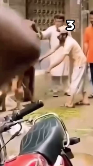 Lattafa Asad