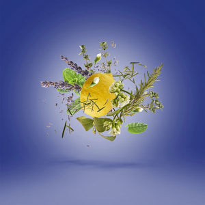 Torino 21 3.3edp by Xerjoff