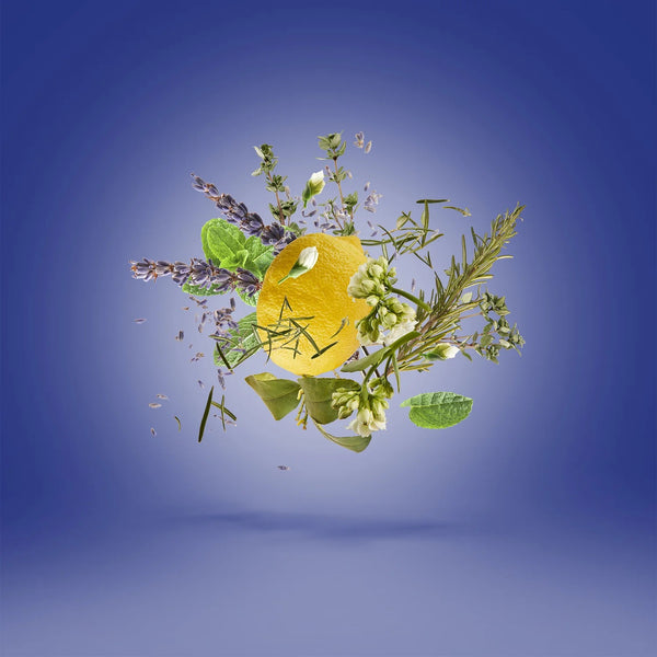 Torino 21 3.3edp by Xerjoff